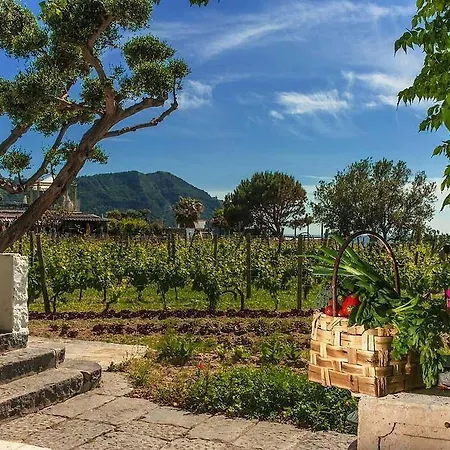 Il Gattopardo Terme & Beauty Farm Otel